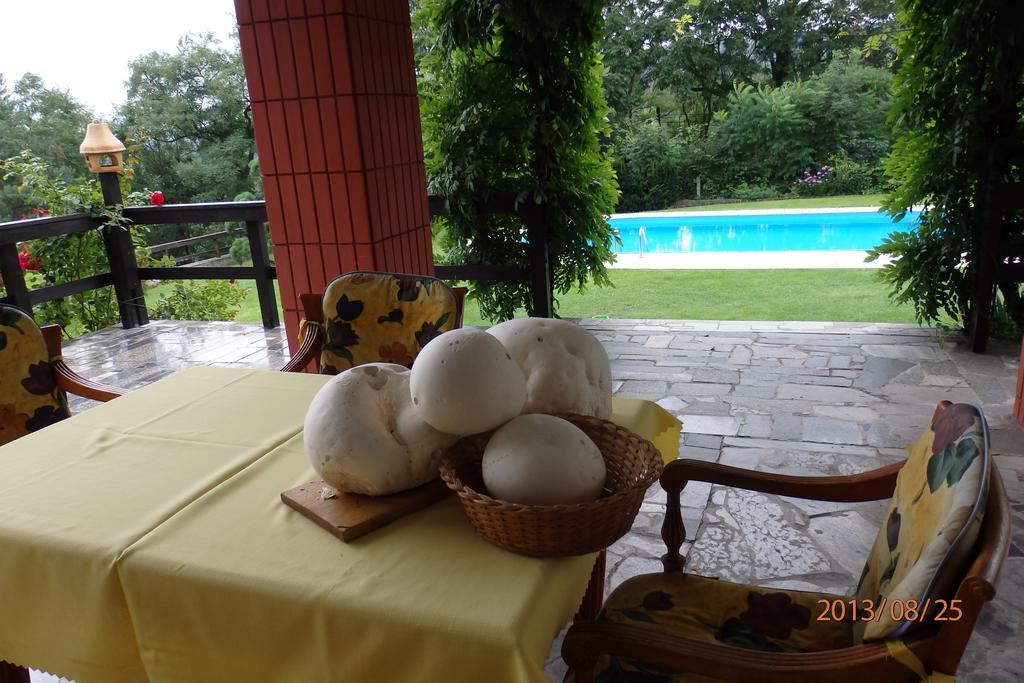 Villa Blanka Horni Podkozi Ngoại thất bức ảnh
